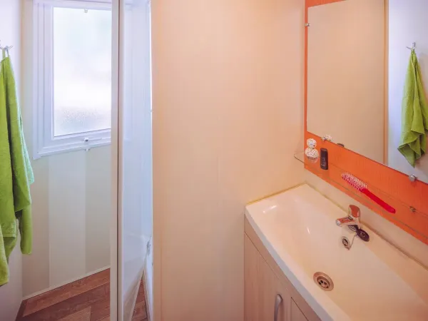 Roan Comfort Plus Lounge Badezimmer mit Dusche und Waschbecken.