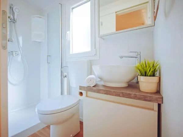 Badezimmer mit Toilette in der Roan Comfort Plus Lounge.