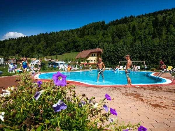 Übersicht Schwimmbad des Roan camping Bella Austria.