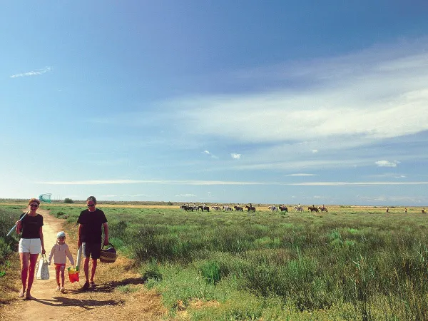 Wandernde Familie vor dem Roan-Campingplatz Les Sablines.