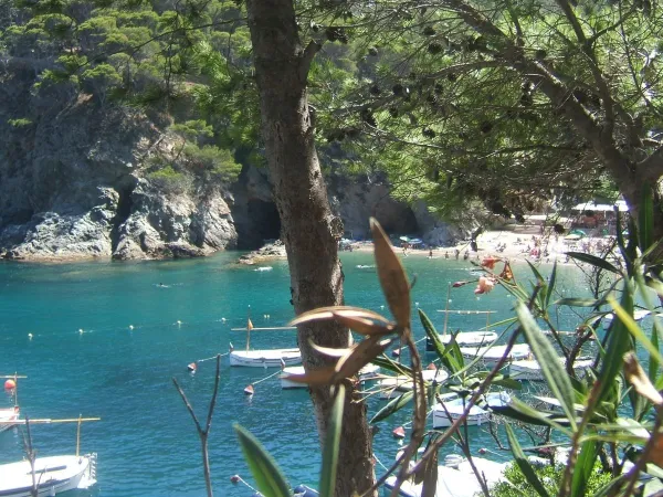 Kleiner Felsenstrand in der Nähe des Roan-Campingplatzes Playa Brava.