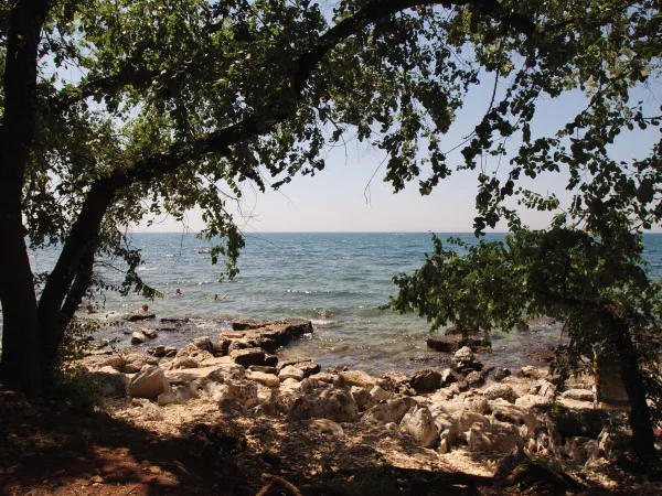 Die Küste im Roan Camping Park Umag.