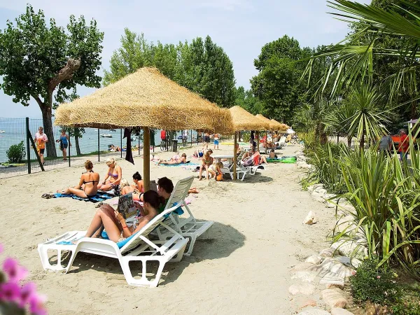 Sonnenliegen und Sonnenschirme am See auf dem Campingplatz Roan in Cisano San Vito.