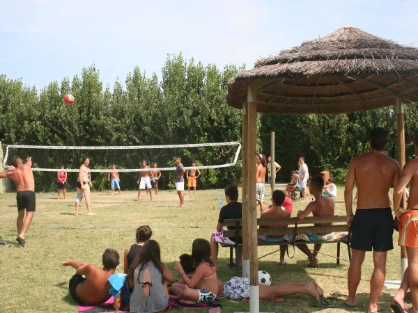 Volleyballplatz auf dem Campingplatz Roan Tahiti.