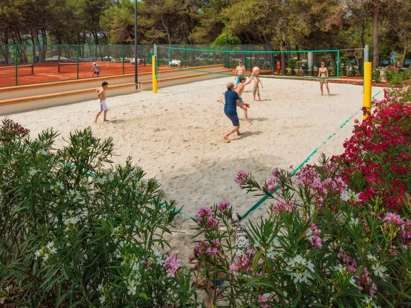 Volleyball spielen auf dem Campingplatz Roan Lanterna.