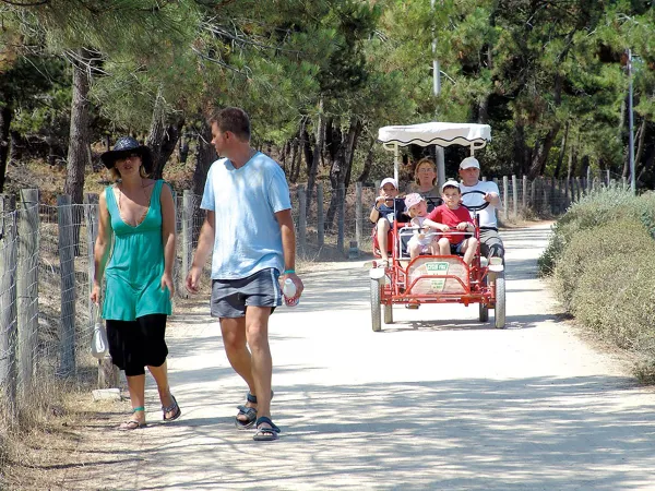 Familienfahrradverleih auf dem Campingplatz Roan Le Domaine du Clarys.