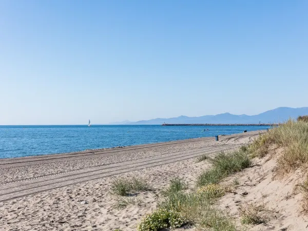 Der Strand in der Nähe des Campingplatzes Roan de Canet.