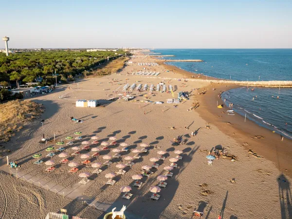 Sonnenliegen am Strand des Campingplatzes Roan Union Lido Mare.