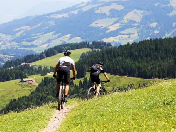 Mountainbiking in der Nähe von Roan camping Lido Verbano.