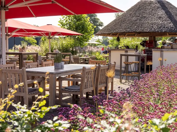 Bar mit Terrasse auf dem Roan Campingplatz De Twee Bruggen.