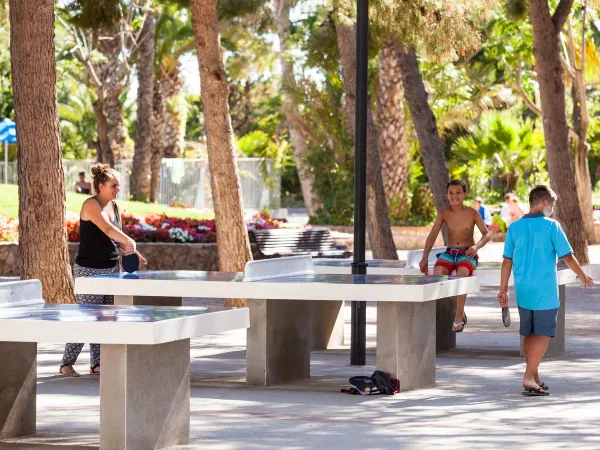 Tischtennis auf dem Campingplatz Roan Vilanova Park.