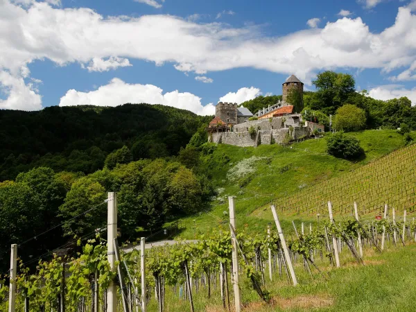 Ein Schloss in der Nähe von Roan Camping Bella Austria.