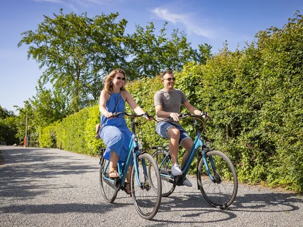 Teilen Sie die Fahrradroute in der Nähe des Roan Camping Marvilla Parks Friese Meren.