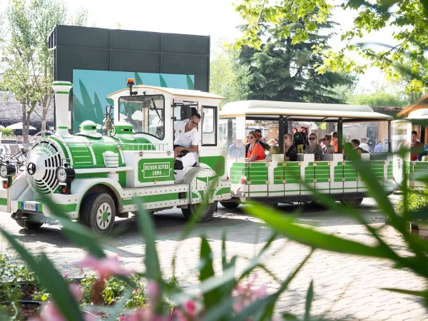 Der Campingzug fährt die Gäste über den Campingplatz hu Altomincio village.