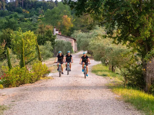 Mountainbiking in der Nähe von Roan Camping hu Norcenni Girasole village.