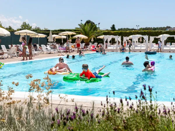 Atmosphärischer Pool auf dem Roan Campingplatz Fabelhaft.