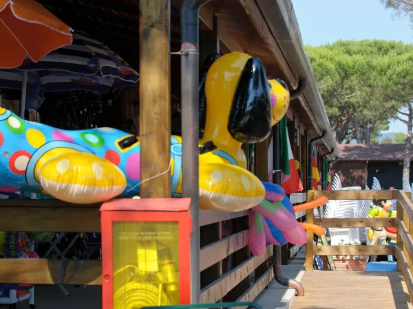 Ausstattung des Kinderbeckens auf dem Campingplatz Orbetello.