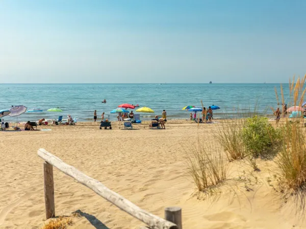 Der Strand des Campingplatzes Roan Ca'Savio.