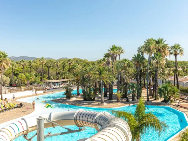 Schönes Schwimmbad mit Palmen auf dem Roan Camping La Baume.