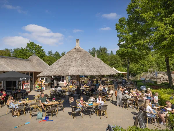 Belebte Terrasse auf dem Roan-Campingplatz Marvilla Parks Kaatsheuvel.