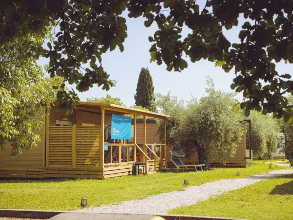 Supreme Lounge auf dem Campingplatz Roan Piantelle.