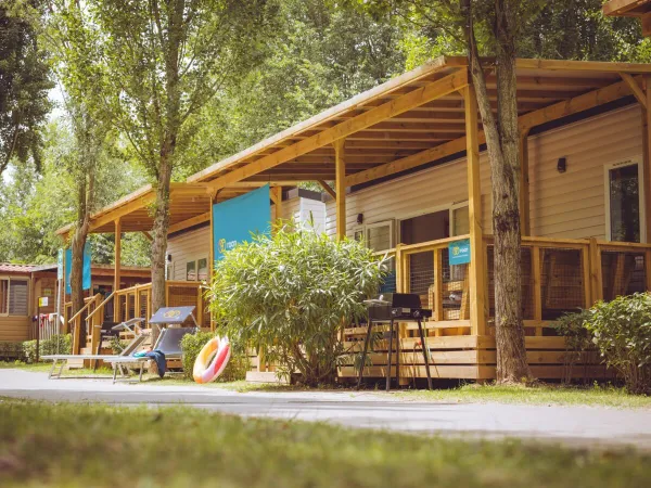 Premium Lounge Unterkunft auf dem Campingplatz Roan in Altomincio.