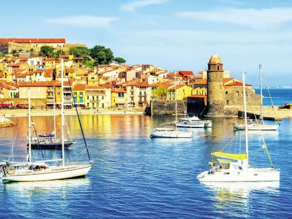 Le Port de Collioure auf dem Roan Campingplatz Les Dunes.