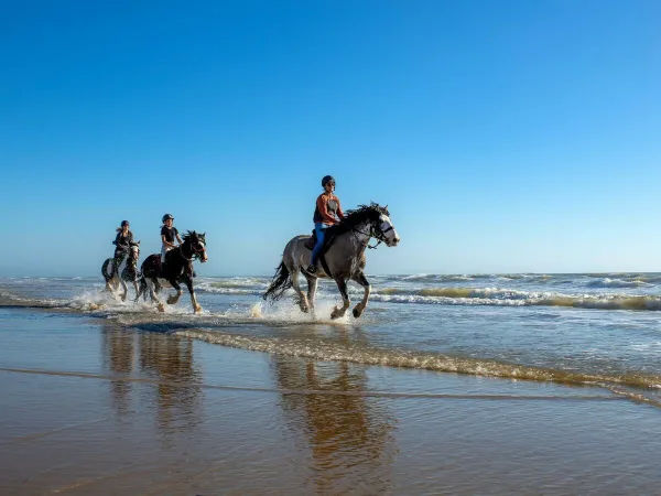 Reiten in der Nähe des Campingplatzes Roan Atlantic Club Montalivet.