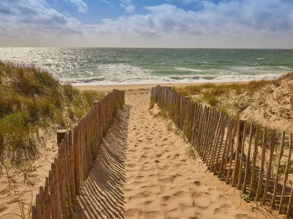 Fußweg zum Sandstrand in der Nähe des Roan-Campingplatzes Les Chardons Bleus de la Turballe.