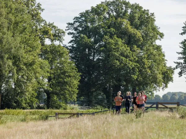 Menschen beim Sport in der freien Natur auf dem Roan-Campingplatz De Twee Bruggen.