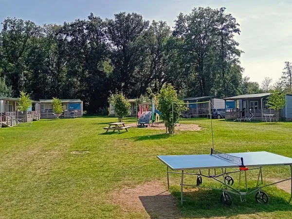 Roanfeld mit Spielplatz und Tischtennisplatte auf dem Roan-Campingplatz De Twee Bruggen.