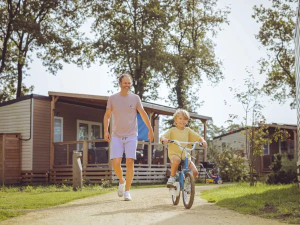 Kostenlose Roan-Kinderfahrräder für Kinder bis zu 6 Jahren.