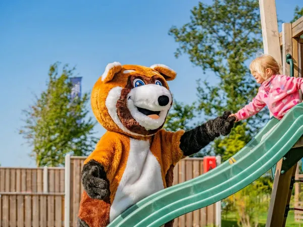 Maskottchen Homy auf dem Roan Campingplatz Marvilla Parks Friese Meren.