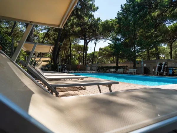 Luxuriöse Liegestühle am Pool mit Sonne und Schatten auf dem Campingplatz Roan Sole Family Camping Village.