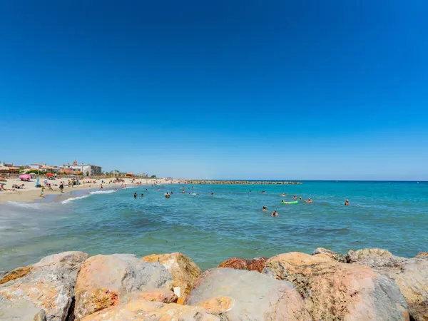 Der Strand von Saint-Cyprien ist 800 m vom Campingplatz Roan Le Soleil de la Méditerranée entfernt.