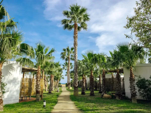 Eine Unterkunftsstraße auf dem Roan-Campingplatz Alannia Els Prats.