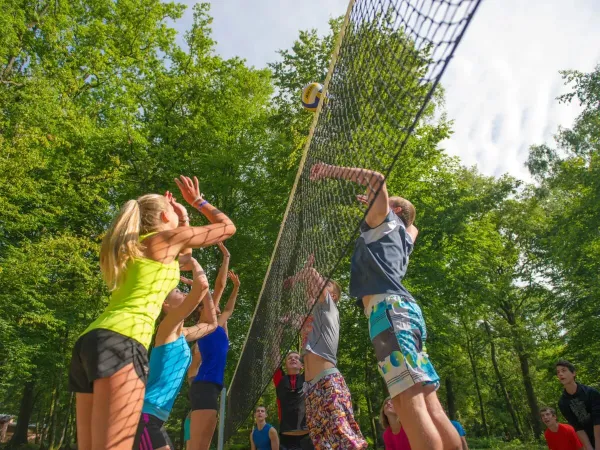 Kinder spielen eine Partie Volleyball auf dem Campingplatz Le Lac des Vieilles Forges in Roan.