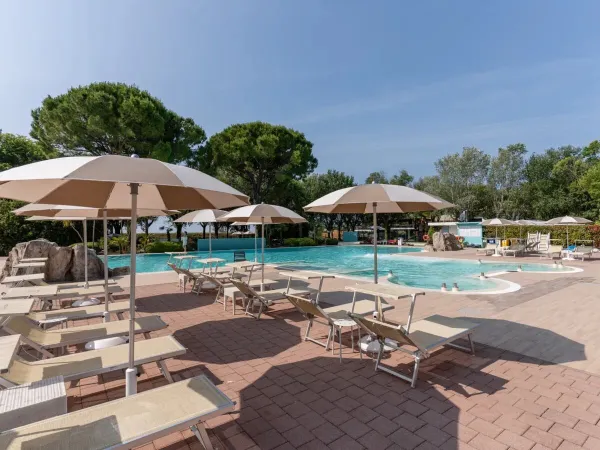 Liegestühle am Pool des Campingplatzes Tenuta Primero in Roan.