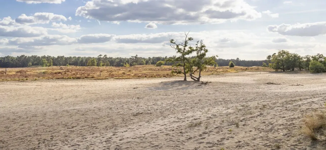 Loonse und Drunense Dünen