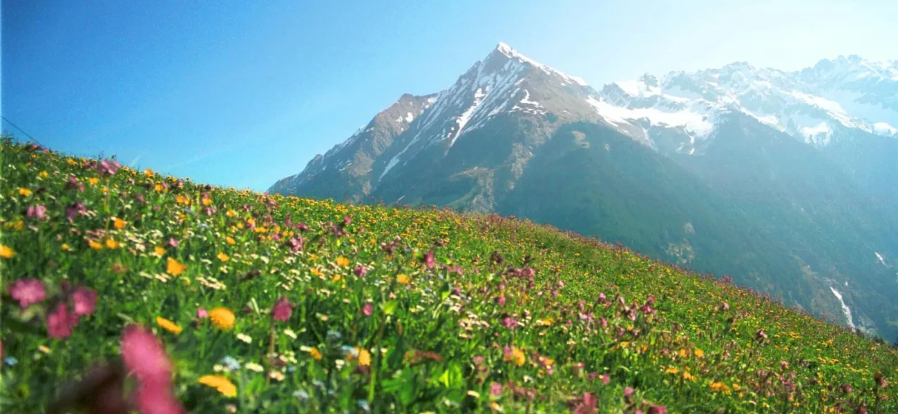 Steiermark Österreich.