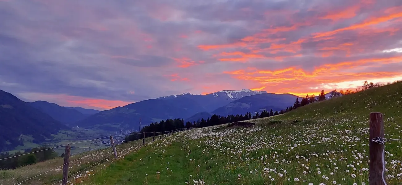 Weihnachten in letzter Minute