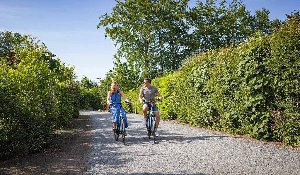Campings Friesland