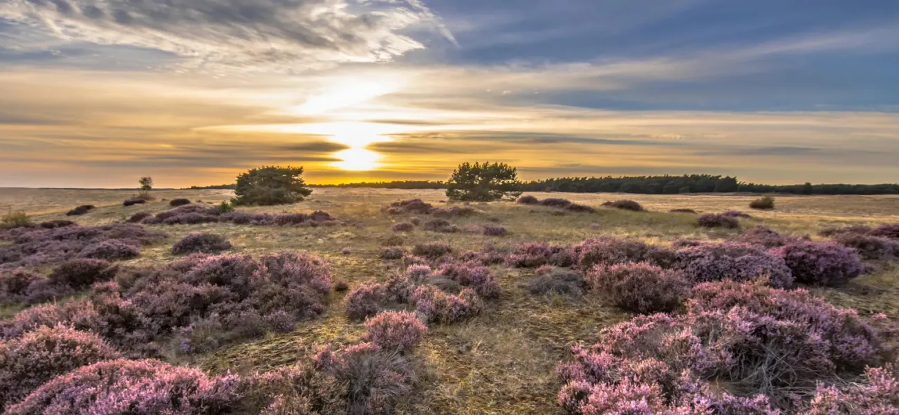 Camping in Gelderland