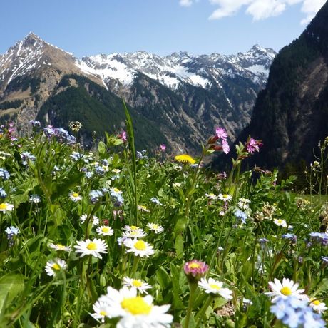 Buchen Sie Ihren Last-Minute-Urlaub in Österreich