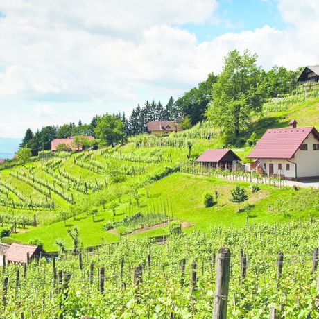 Buchen Sie Ihren Last-Minute-Campingurlaub in Slowenien
