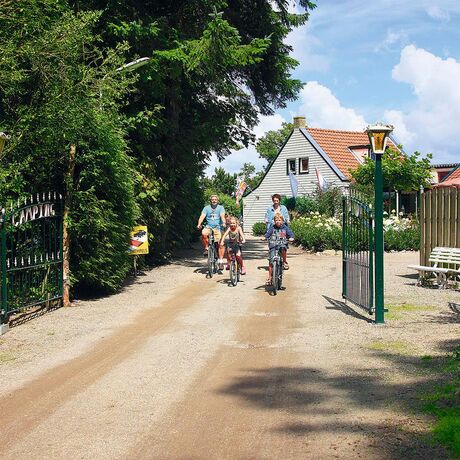 Unsere Campingplätze in Friesland